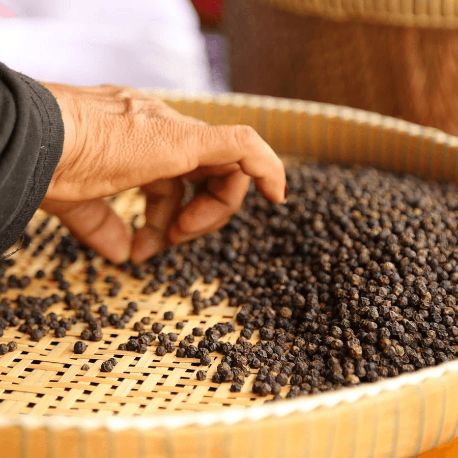 カンボジア特産「生胡椒の塩漬け」の商品画像0113c970-cb5a-43c1-a82a-e021b5ba2250