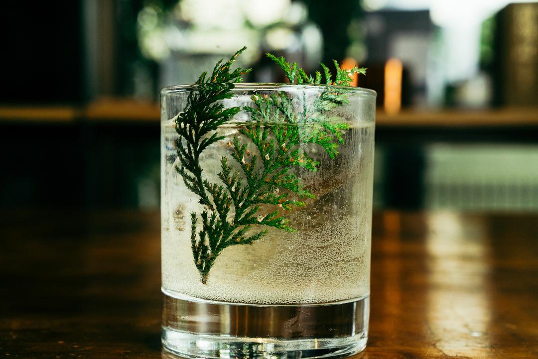 フォレストソーダ 200mlの商品画像08b4fff0-8974-4416-a21d-253d3a153dc7