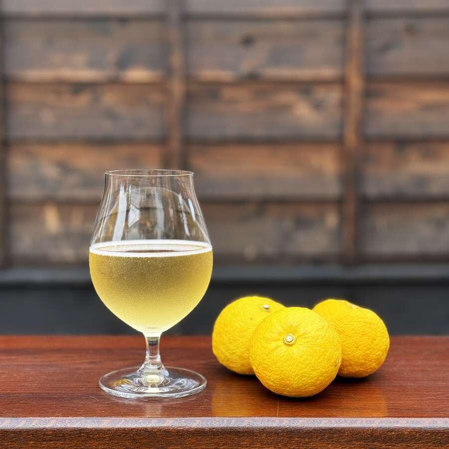 Organic KOMBUCHA(コンブチャ)「YUZU HEADS」300mlの商品画像0b917700-eaef-4a9a-8cc2-5f9597a9cdde