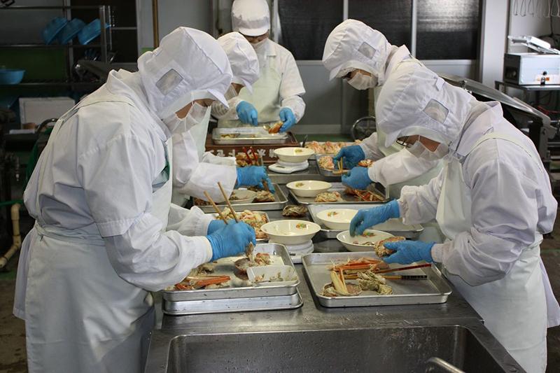 今川屋 カニまるっと甲羅詰め 本ズワイガの商品画像0db3e0fe-99dd-4d86-a206-741b47330097