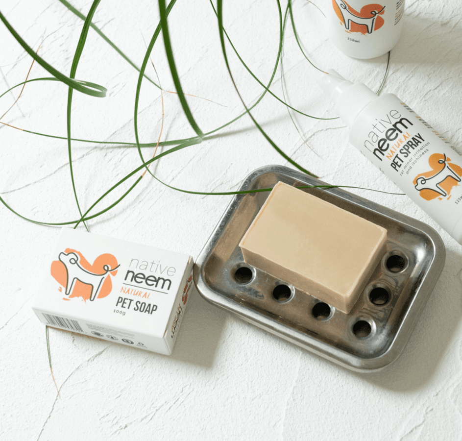 native neem ペットソープ(100g/1個)の商品画像1402ebf5-e3c2-4adc-8c68-e504cc73d51c