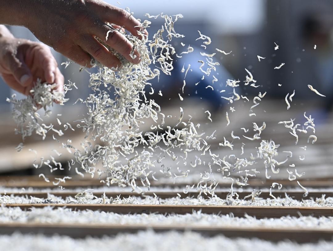 ちりめんじゃこチップス 6g 新鮮な国内産のちりめんじゃこを使用の商品画像17e8d7ab-6da7-41c0-a565-6da398eeb94e