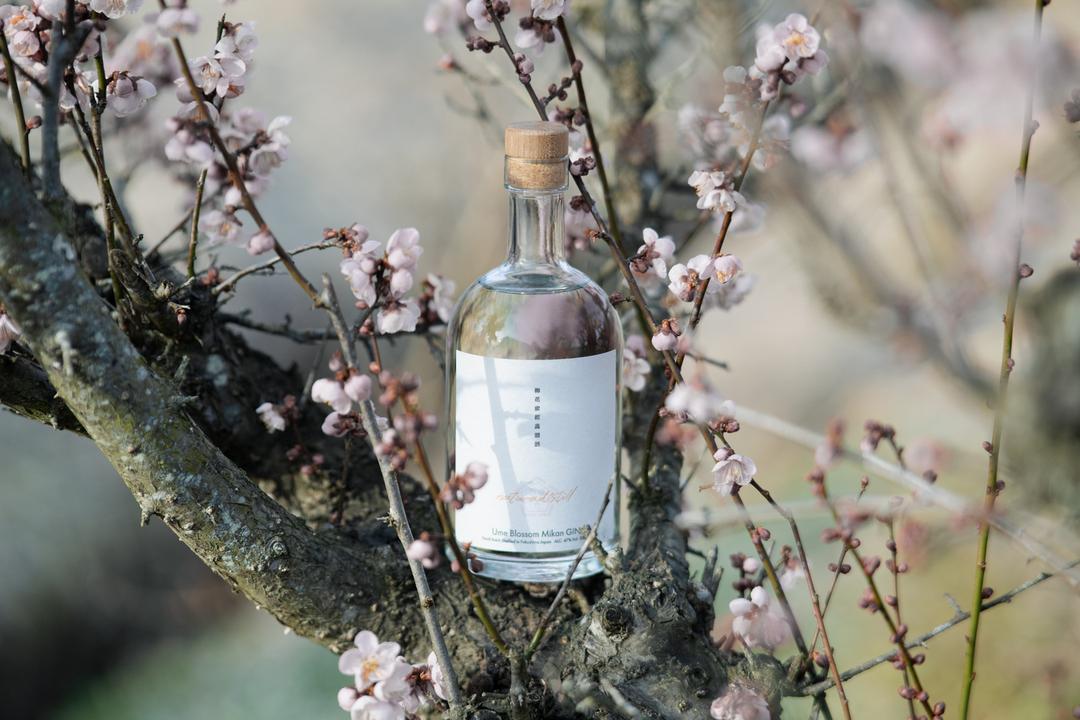 【在庫僅か】naturadistill 梅花蜜柑蒸溜酒 Ume Blossom Mikan GINの商品画像1a19c228-1705-410a-8a78-a924e852a499