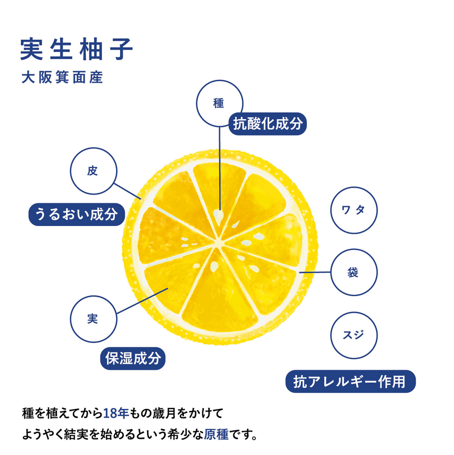 HOLO ピュアクリームの商品画像1a8fb4d9-9216-4afe-a439-7312cc74f342