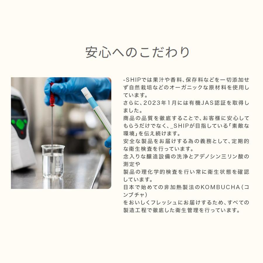 Organic KOMBUCHA(コンブチャ)「発酵_ORIGINAL 」300mlの商品画像1bdd4fe5-f0f1-428e-aec5-e8e3a1c33f35