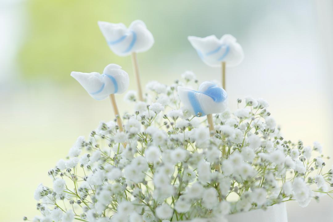 ぽちあめの商品画像1d7d8f2a-3142-43a1-b63a-d160a52393d0