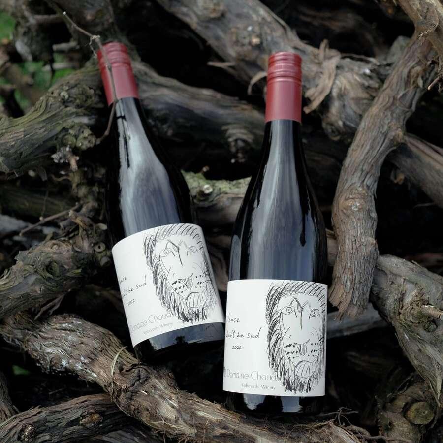 Please don't be sad 2023 / 悲しまないで|Domaine Chaudの商品画像225242d5-0324-4149-82fe-b1ea426aaec2