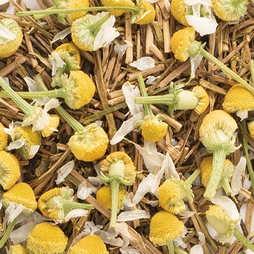 -の商品画像24cf3f9f-8e6f-4688-92e9-1be55b176e47