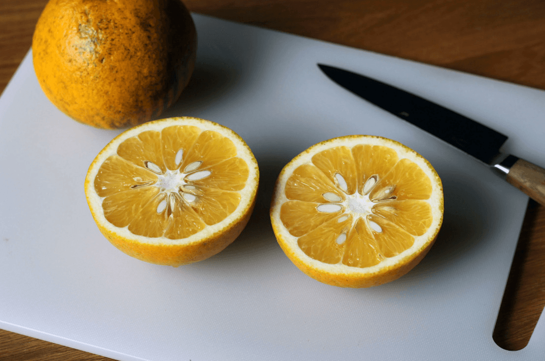 淡路橙/なるとオレンジ 果実 10kgの商品画像288a155f-c9ca-4a72-8ad8-96c5bbde0057