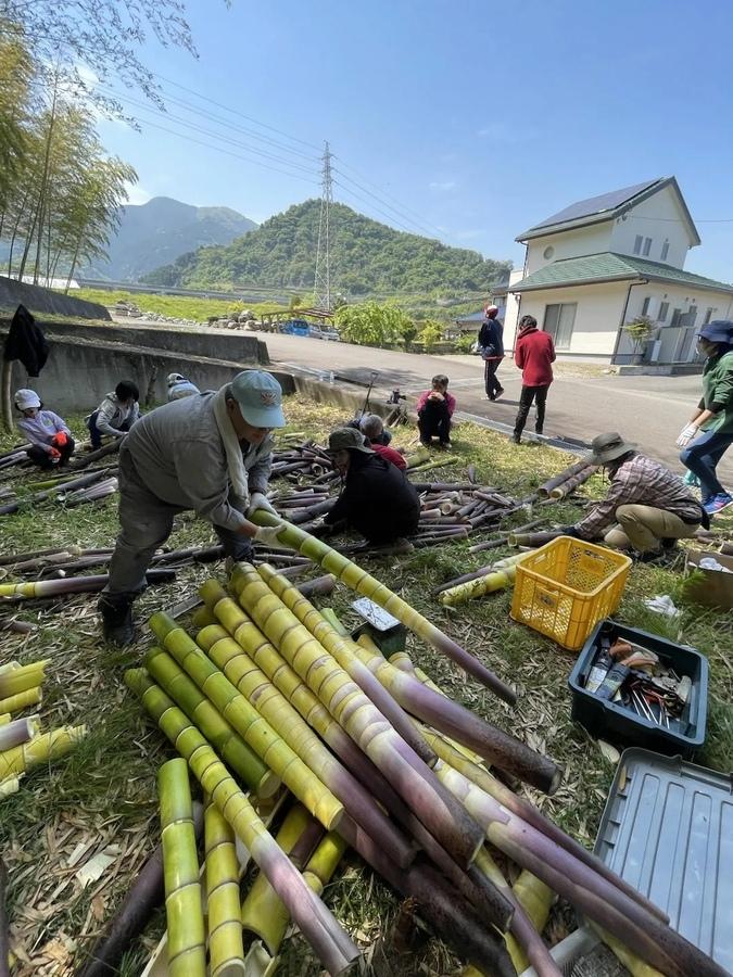 【業務用メンマチョ】一反もめんカット (1kg NET/袋)愛媛県産自然発酵メンマ(乳酸発酵たけのこ)の商品画像2fcbf16f-932b-4414-9ce6-521e036c611f