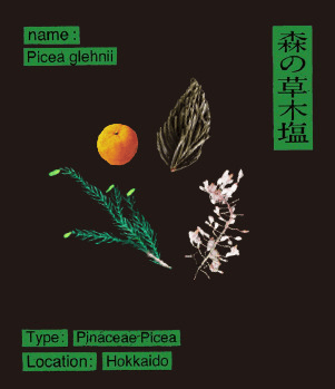 森の草木塩(旧草木塩)の商品画像33ae1d1a-1d35-4cec-af5a-909c78092bff