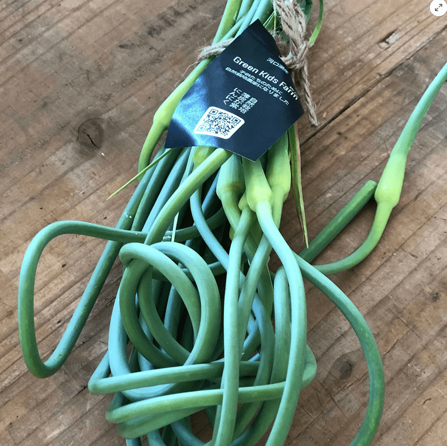 限定セール!にんにくの芽と乾燥にんにくの芽パウダーセットの商品画像3889c229-7b7b-4bfd-8c70-90f014c95b44