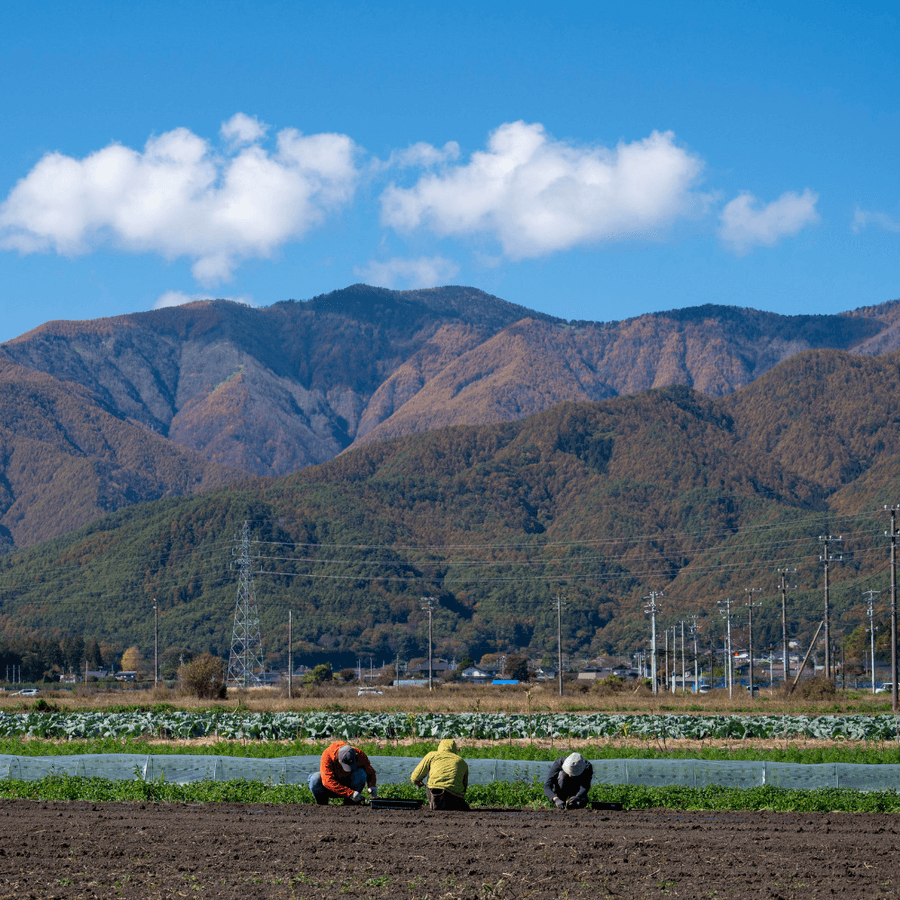 長野伊那谷 carrot and apple juice 1000mlの商品画像3a557f99-5720-472a-8955-d397e9f2d1e3