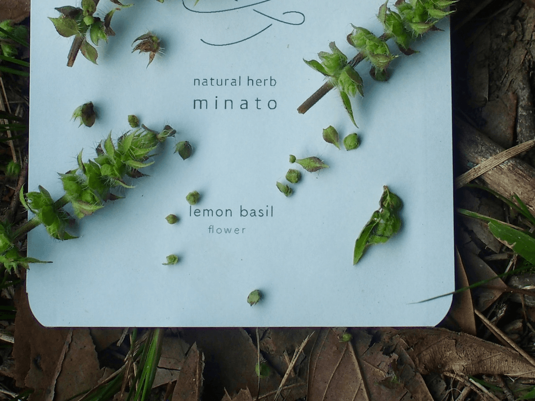 レモンバジル(ハーブソルト)の商品画像3b56790d-b77f-4e62-9c71-151851489ac5