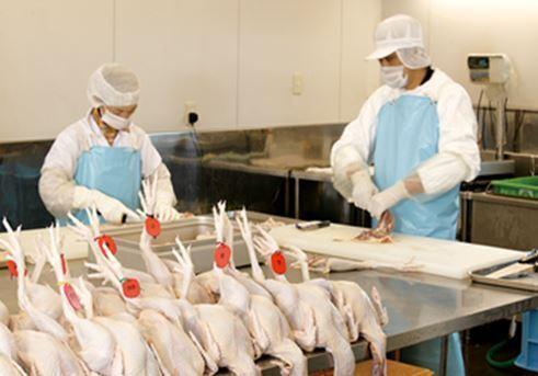 特産地鶏 青森シャモロック レバー 冷凍品の商品画像427d0a0b-0e3f-47b3-b61f-25785dceb4ac