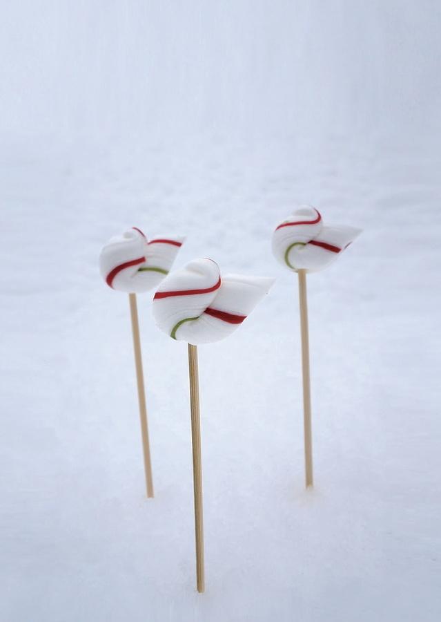 ぽちあめの商品画像459d48b1-87c3-4e49-aadb-fece54abaae4