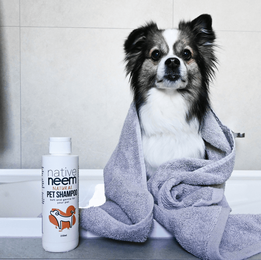 native neem ペットシャンプー(250ml/1本)の商品画像4c5326e5-d401-49c1-a057-55ce4efb6fa7