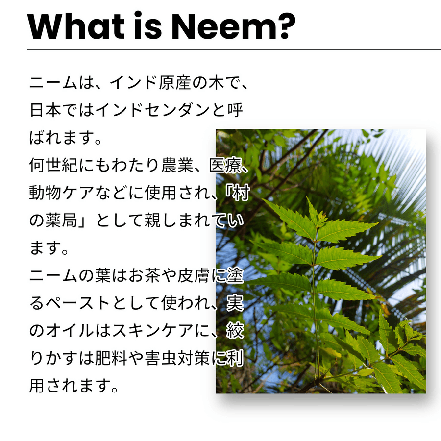 native neem ペットシャンプー(250ml/1本)の商品画像4dac7b8f-aa04-4680-8169-b83c8471e5e0