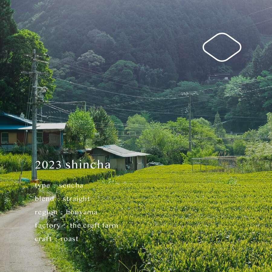 2023年度 TeaRoomの新茶(茶葉50g)の商品画像51f21cba-86de-40b4-8592-d4b8b7835aac