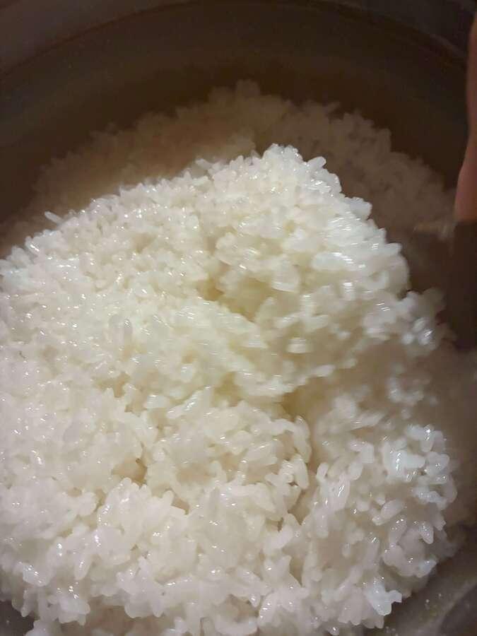 【2026年度新米】湧水と田んぼの生きもので育った自然栽培のお米 の商品画像521da8ca-bc5a-4a5d-b393-1fa1df425668