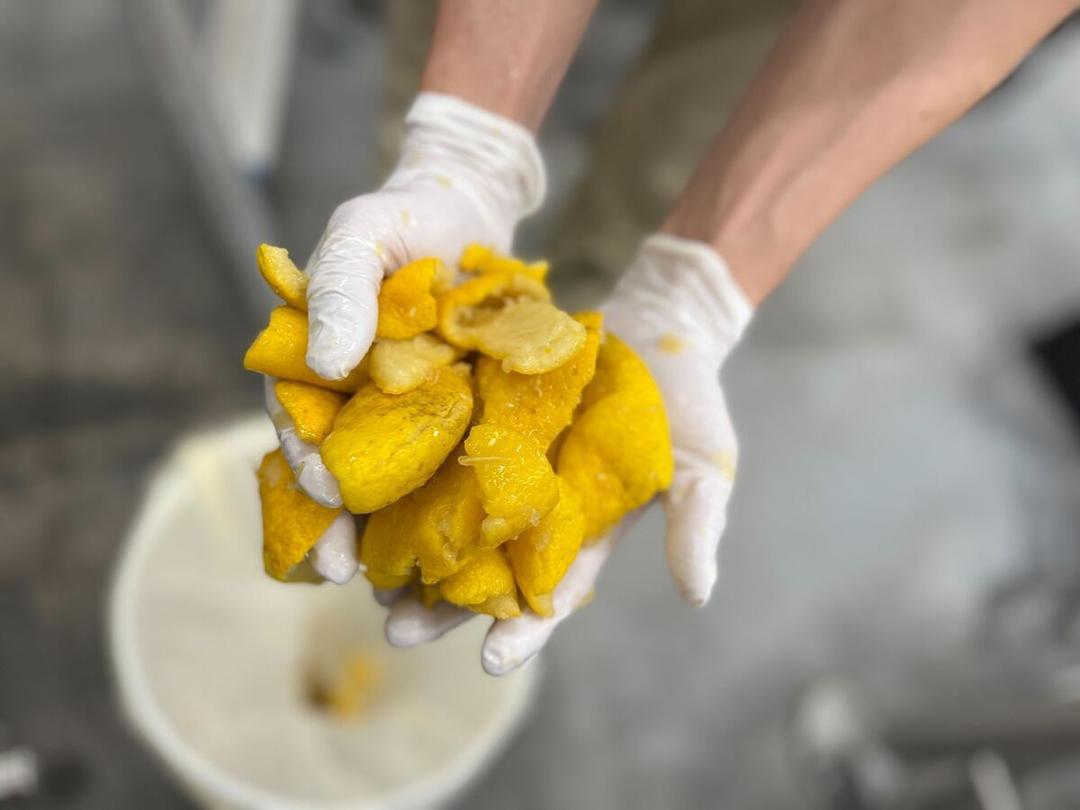 Organic KOMBUCHA(コンブチャ)「YUZU HEADS」300mlの商品画像5860b435-e406-4926-848b-329c5012f12e