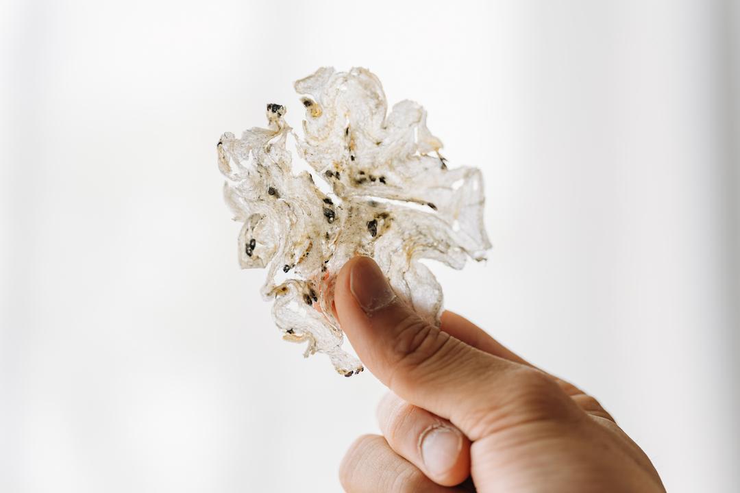 ちりめんじゃこチップス 6g 新鮮な国内産のちりめんじゃこを使用の商品画像5cb0b0b2-ef24-4b71-9212-329ca5e3e955