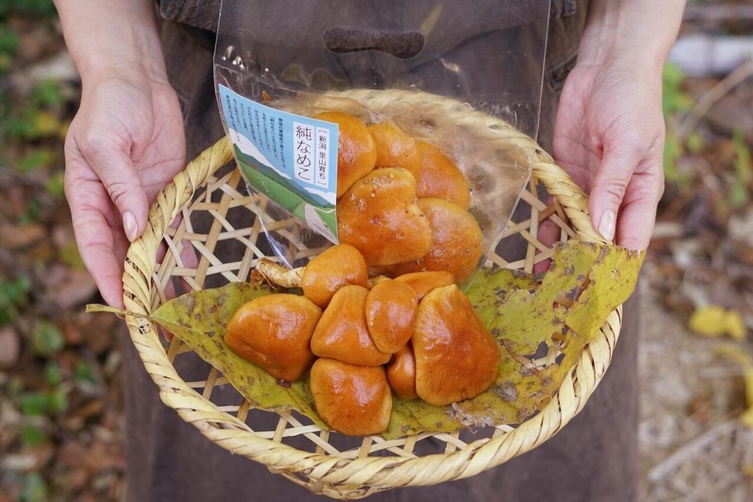 純なめこ(生)120gの商品画像5de48a11-dfc6-4a81-9edc-3996b611feec