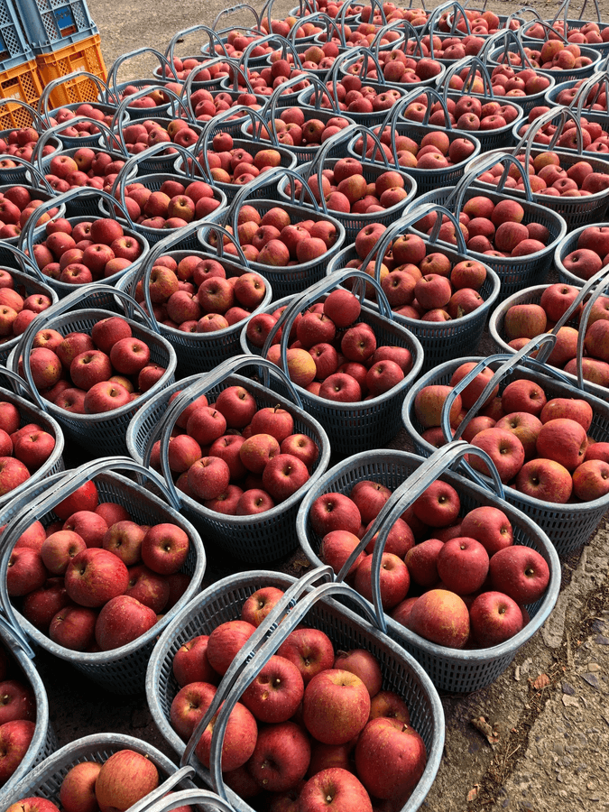 てとて2024(ふじ)375mlの商品画像5e76d9ee-2aae-4746-bc87-64eaaa7a398a