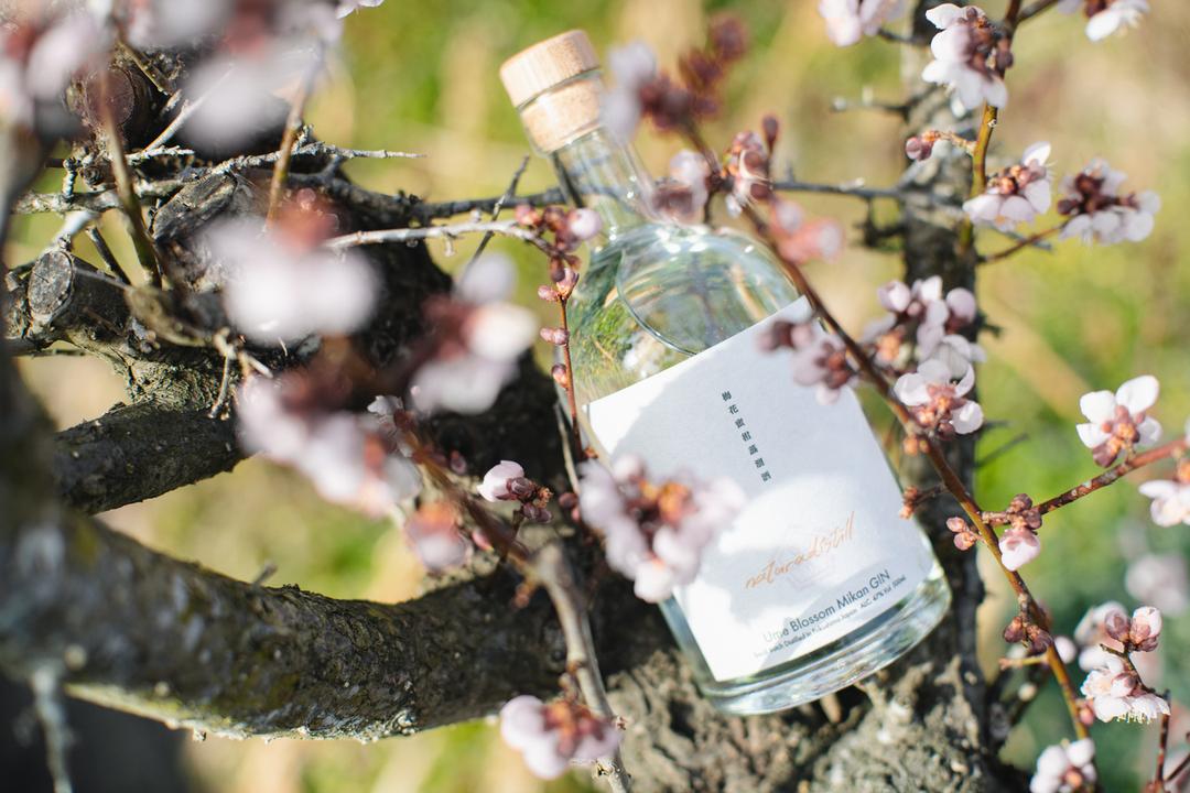 【在庫僅か】naturadistill 梅花蜜柑蒸溜酒 Ume Blossom Mikan GINの商品画像6001d715-4891-47e2-8440-e98e5e1dac8a