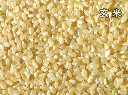 ☆新米☆《玄米》コシヒカリアモーレの商品画像6e984c46-2f90-499b-a08a-1b126c8733cc