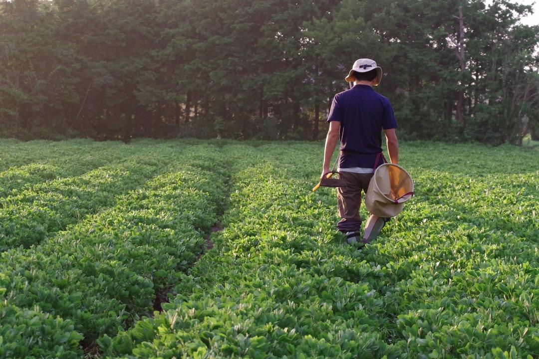 Bocchiのからつき Qなっつの商品画像71a98cdf-7bb8-4950-8791-0c899093fe45