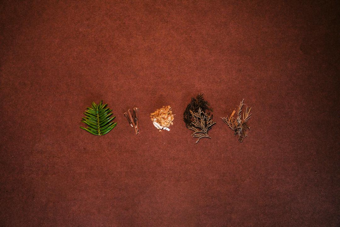 草木蜜フォレストシロップ 720mlの商品画像73e78b50-b9ae-47a4-8099-599e83e6bbf8