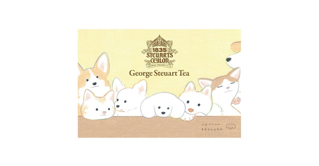 【ティーバッグ・5種のフレーバー×5袋(合計25袋入り)】<ミニシール付き>×てらおかなつみの商品画像758fab7e-8ff2-4d72-a279-2d32db98aa33