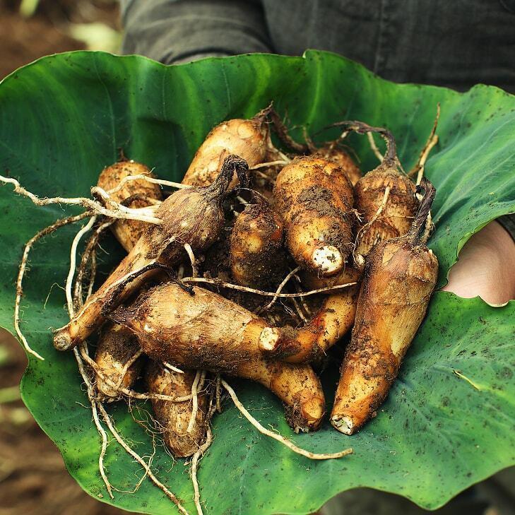 甚五右ヱ門芋(じんごえもんいも)里芋の商品画像798f0a3f-64c4-4966-b341-b7ace1818be3