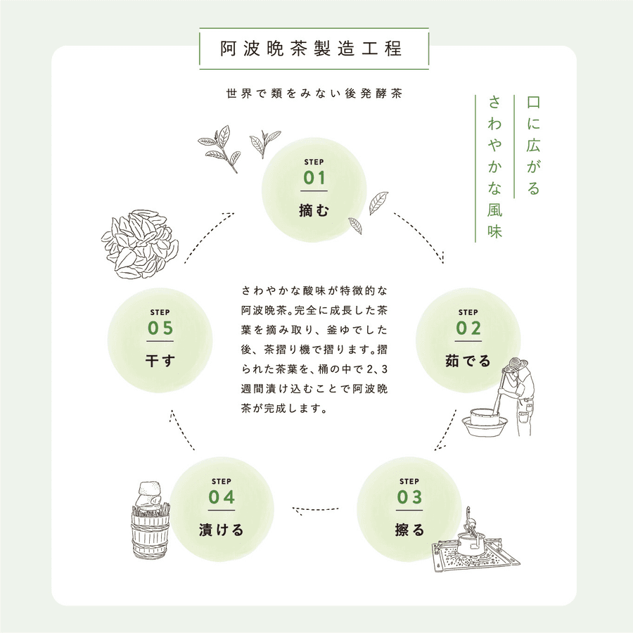 乳酸菌後発酵茶 HOLO TEA 3包入り(阿波晩茶×黒胡麻ブレンド)の商品画像7c707d71-0fa2-473e-bfb8-ad7f16b5c43b