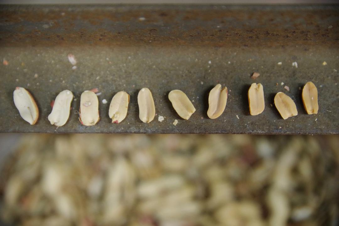 畑で採れたピーナッツペースト〈加糖・つぶ入り〉の商品画像7cd9fc3e-f7e8-4564-888e-b46d2dbd78df