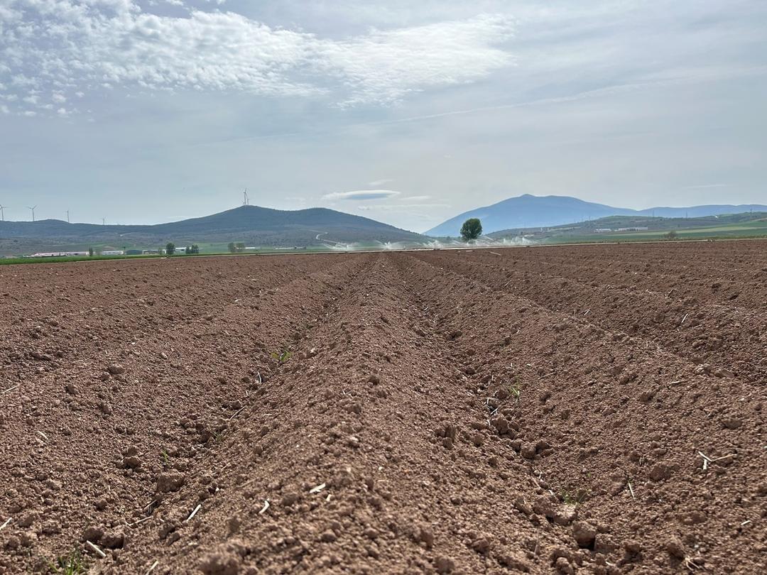 【サンプルセット⑤】バスクの塩アンセストラル ポテトチップス オリーブオイル味 125g+ 黒トリュフ味 125gの商品画像7de783d5-ac5a-4907-ada5-08dff5d8edb0