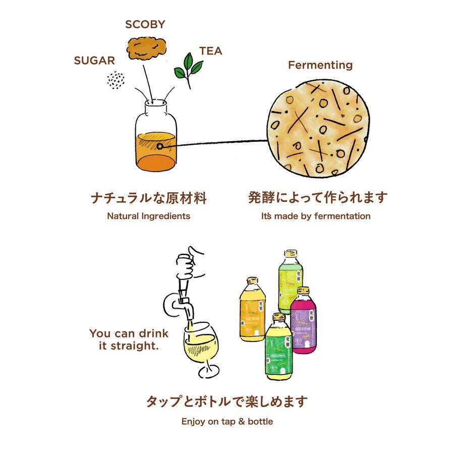 Organic KOMBUCHA(コンブチャ)「発酵_HOP BREEZE」 300mlの商品画像7e995415-3131-442d-af2d-6dac2df41a0c