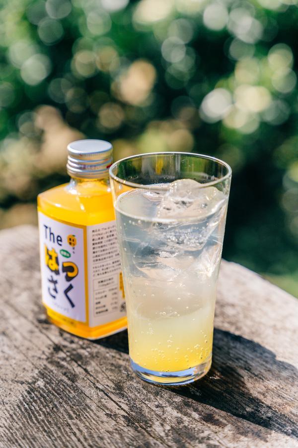 The はっさく 12本セット 【プレーン6本、ドライさんしょう6本】 の商品画像7f3be44a-acd7-4563-8dde-dc064c282c1b