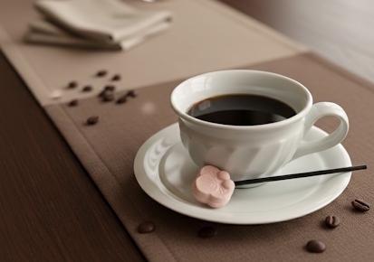 和三盆糖シュガーマドラーの商品画像8611672a-d185-4864-abbb-c77c6cd8b104