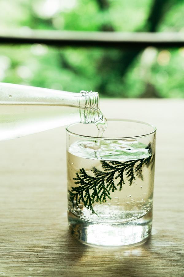 フォレストソーダ 200mlの商品画像865c93ec-2f0c-4053-8d8d-e541948067ec