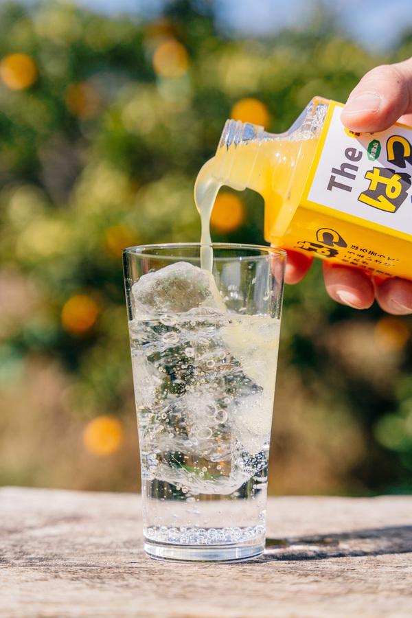 The はっさく 【プレーン】の商品画像88c6e873-23ac-40f1-af9c-c31db4b4c83d