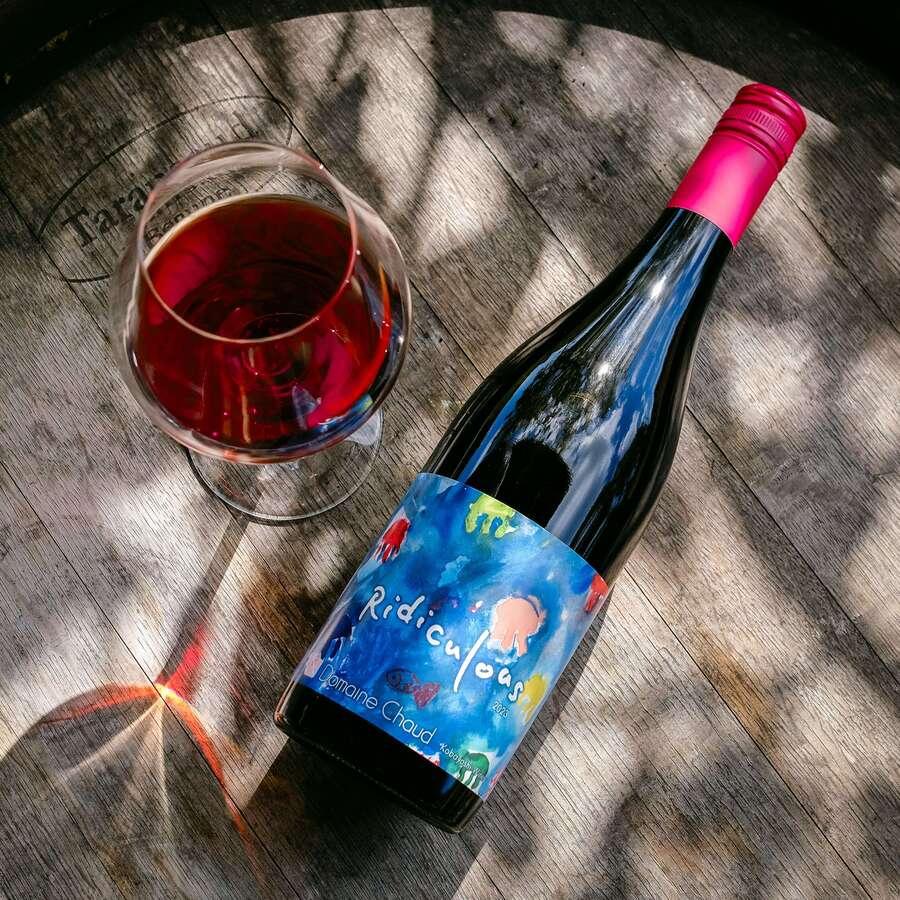 Ridiculous 2023 / くだらない|Domaine Chaudの商品画像914a217b-1af9-4bd4-b3b3-f5c092875903