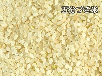 ☆新米☆《玄米》コシヒカリアモーレの商品画像9256b76d-b92f-4ced-87b3-e2314c3c7abd