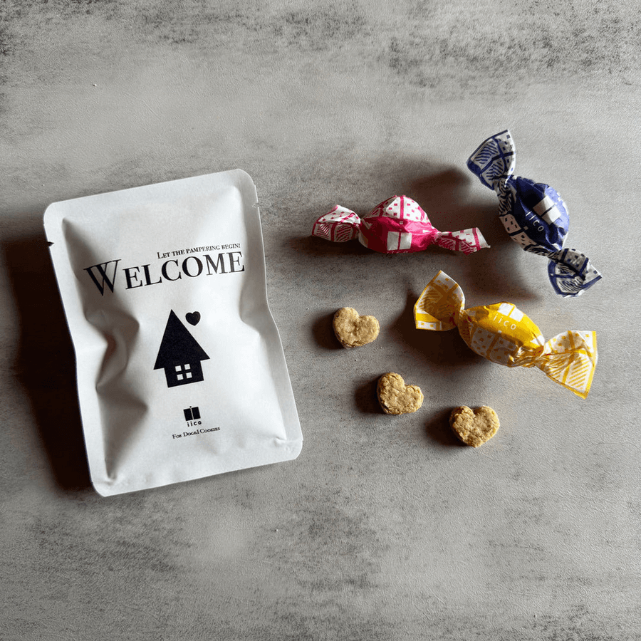 【犬のおやつ】ギフトリフィル - WELCOM|小麦粉・米粉不使用|クッキーの商品画像92a01b88-d805-4bbb-8c8e-14b681bb317c