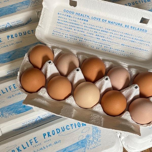 自然養鶏 湘南大磯・平飼い卵 30個の商品画像93fa1793-1fd6-45d4-8a16-d76169726221