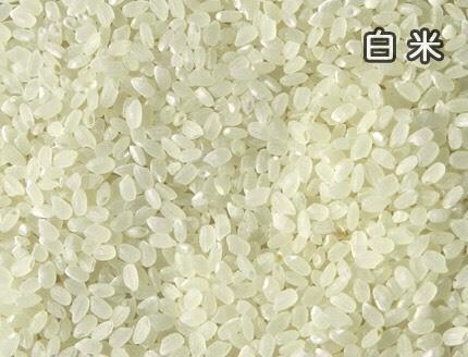 ☆新米☆《玄米》コシヒカリアモーレの商品画像95362aed-80c1-4ba7-a5a6-755754864cee