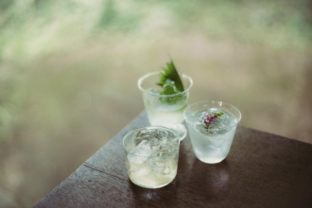 HOLON GIN SEASONAL 梅紫蘇 500mlの商品画像967feacb-4008-4778-8d16-9ac9c261afc9