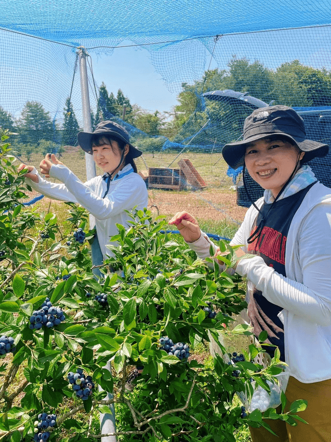 フローズンブルーベリー☆お得サイズ 爽やかな酸味の完熟の冷凍能登ブルーベリーの商品画像9be4d216-c87d-40a5-9ece-ba5c46e2f57f