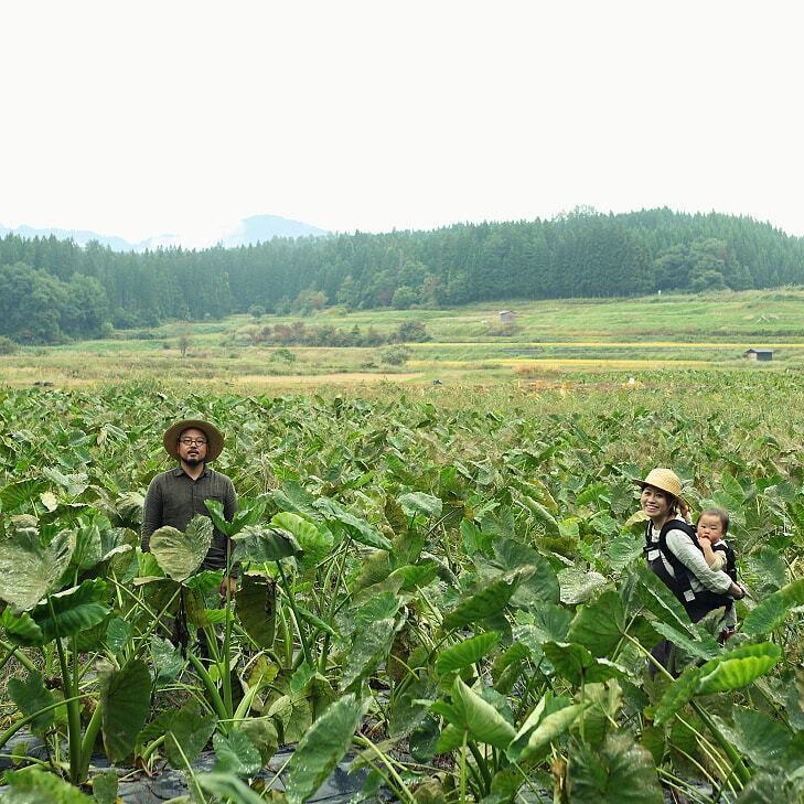 甚五右ヱ門芋(じんごえもんいも)里芋の商品画像9cad8dde-f48e-43eb-a836-f5140494d286